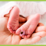TCM bei Kinderwunsch: Für eine natürliche Empfängnis, bei ICSI und IVF oder Insemination.